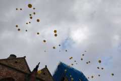 IMG-20251116-WA0001
