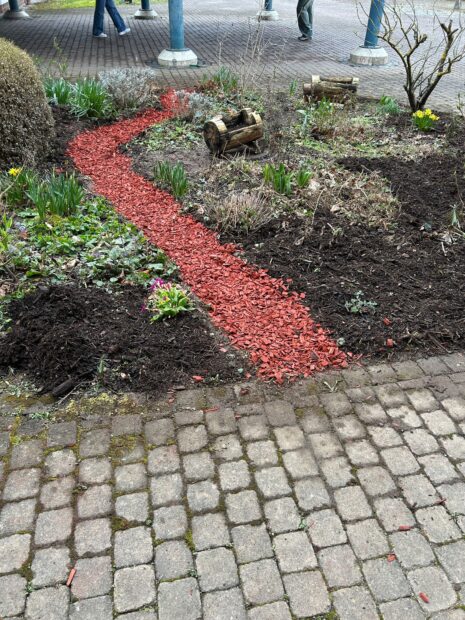 Frühlingsarbeiten am Schulgarten